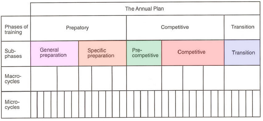 Periodisation Chart Template